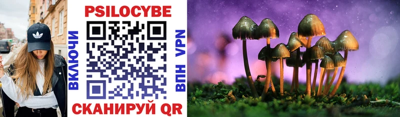 shop состав  Копейск  Псилоцибиновые грибы мухоморы 